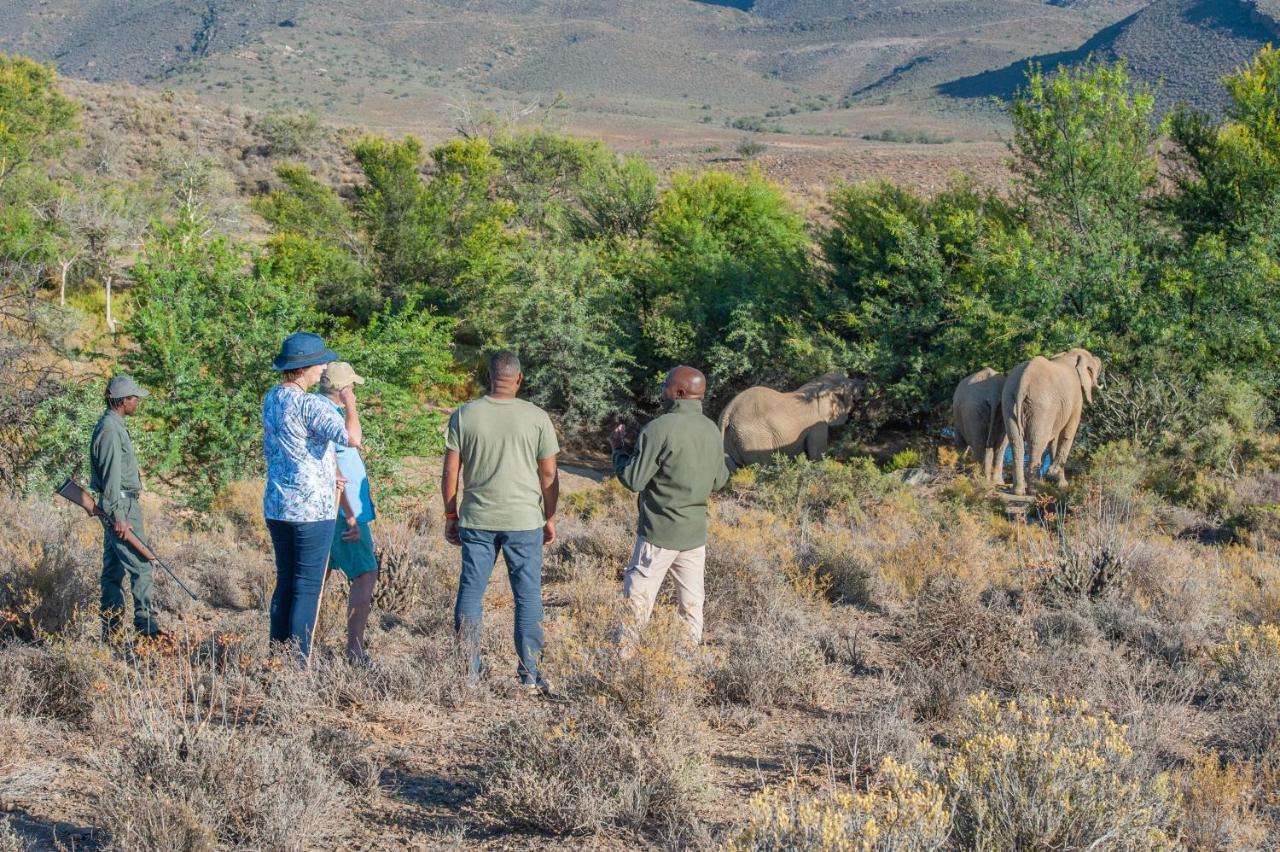 Mont Eco Game Reserve Монтегю Екстер'єр фото