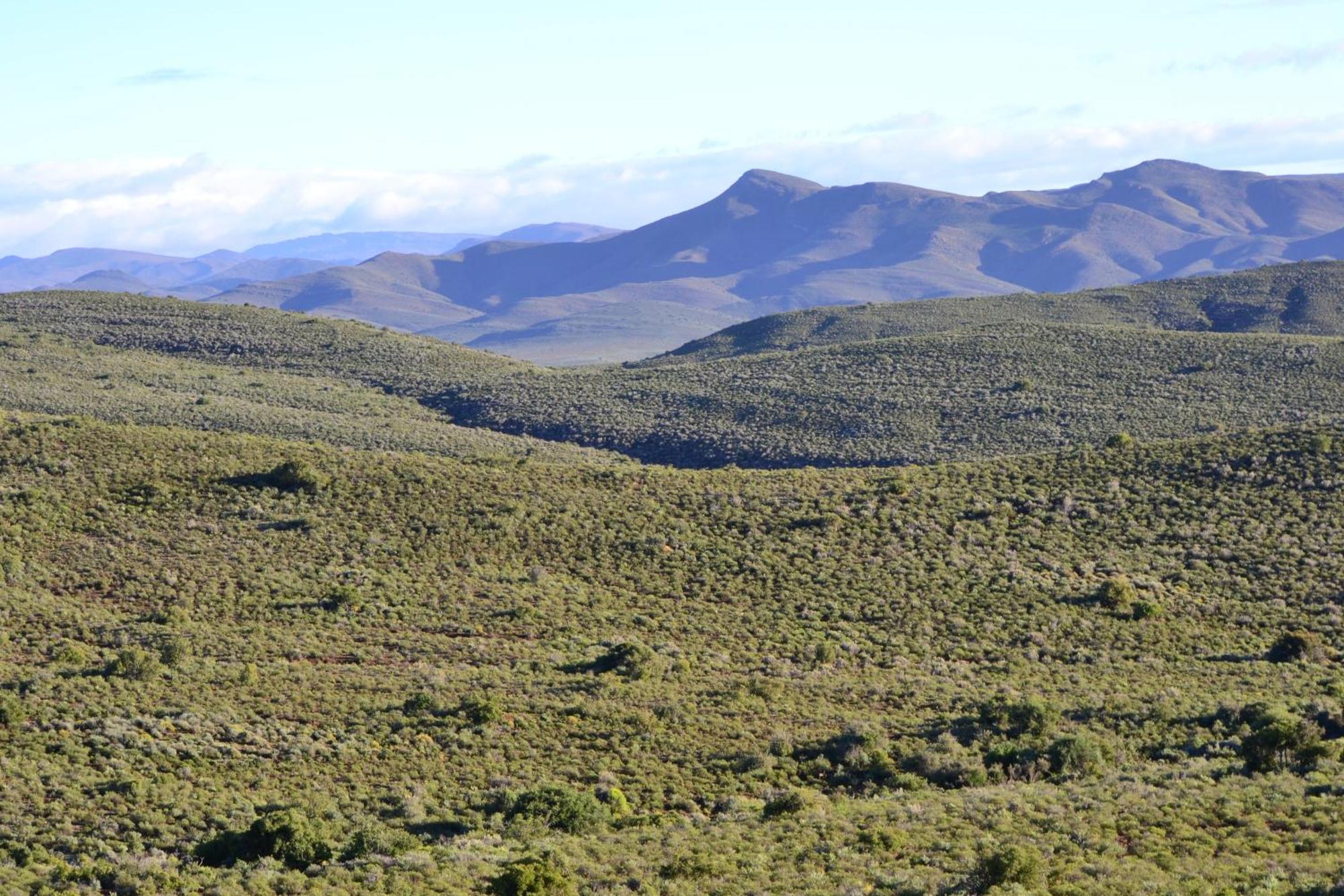 Mont Eco Game Reserve Монтегю Екстер'єр фото